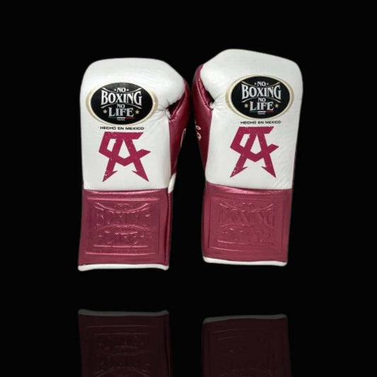 Buy High Quality No Boxing No Life NBNL Boxing Gloves Online for Sparring and Training