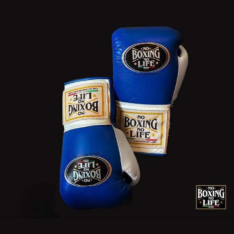 High Performance NBNL Boxing Gloves Premium Leather Fight Gear for Advanced Boxers