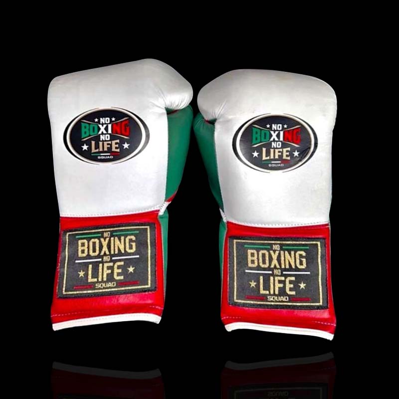 Premium Shopify Store for No Boxing No Life Boxing Gloves and Fight Training Accessories