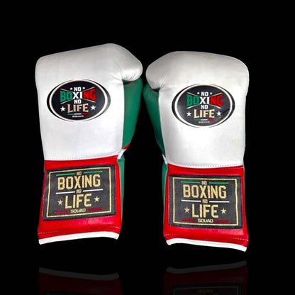 Premium Shopify Store for No Boxing No Life Boxing Gloves and Fight Training Accessories