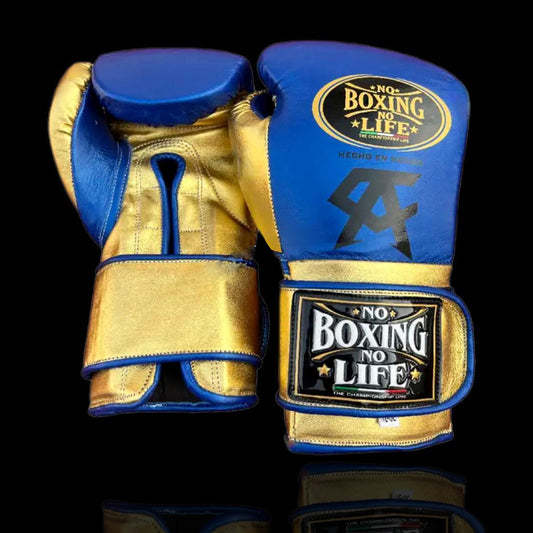 Buy Premium No Boxing No Life Boxing Gloves Online Store for Professional Sparring Training