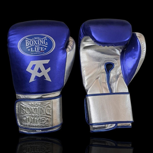 High Quality NBNL Boxing Gloves Online Store for Fighters and Combat Sports Athletes
