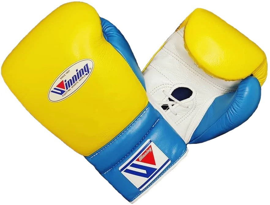 Premium Winning Boxing Gloves Online for Advanced Training and Ring Practice